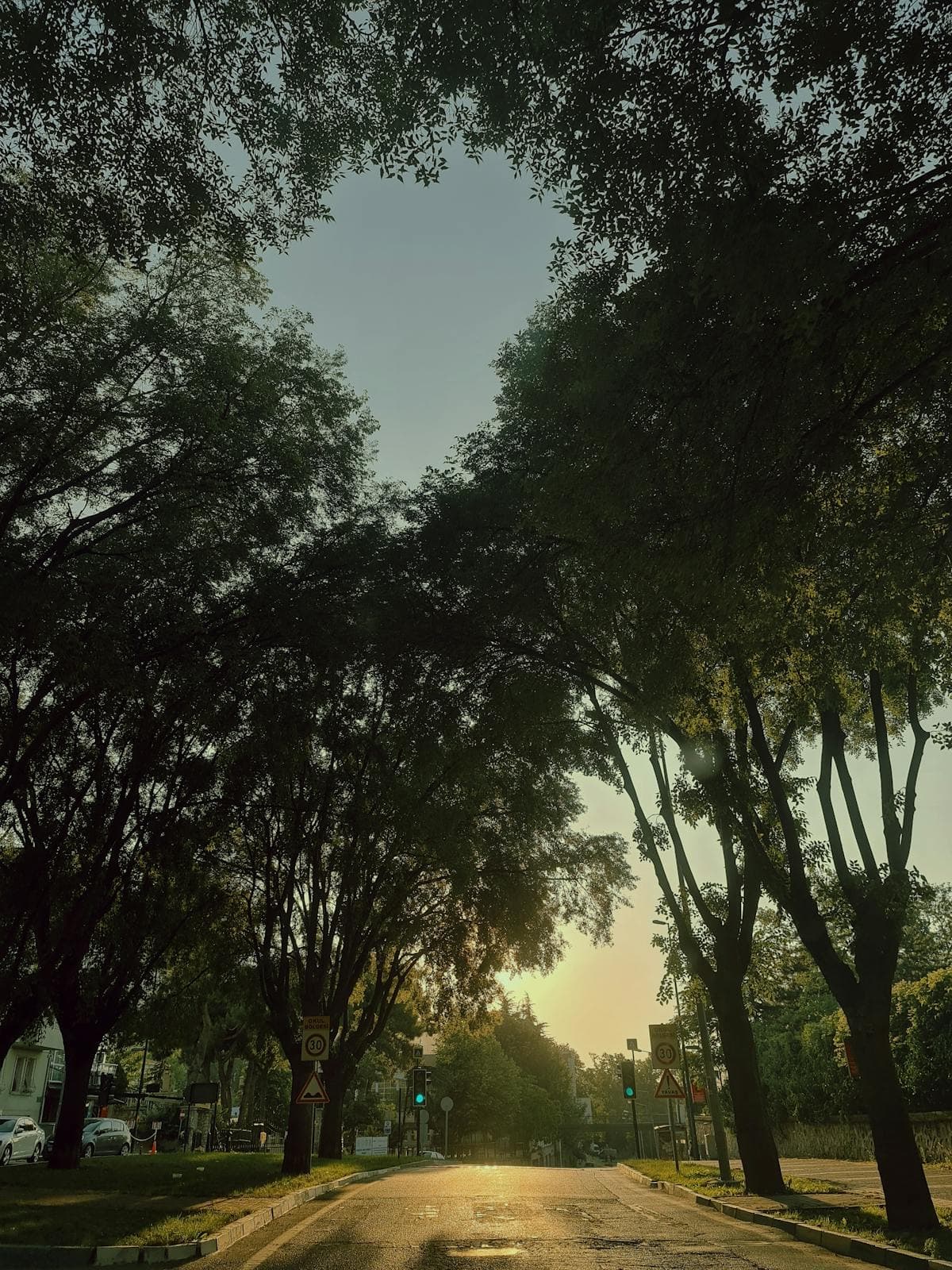 Schulstreik gegen Wehrpflicht: Tausende Schüler protestieren bundesweit